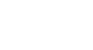 Battred Women's Justice Project