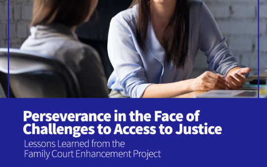 Perseverance in the Face of Challenges to Access to Justice